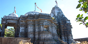 Rahnemi Rahnemi